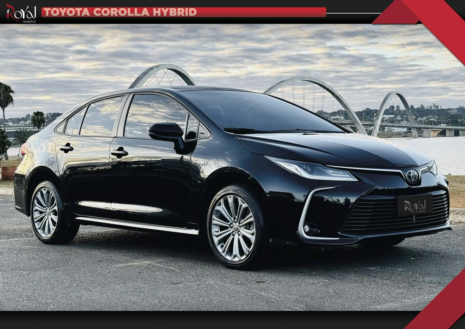 corolla_2024_1