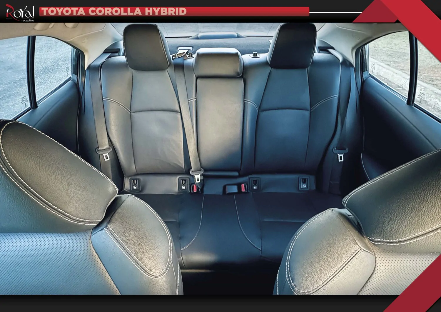 corolla_2024_4